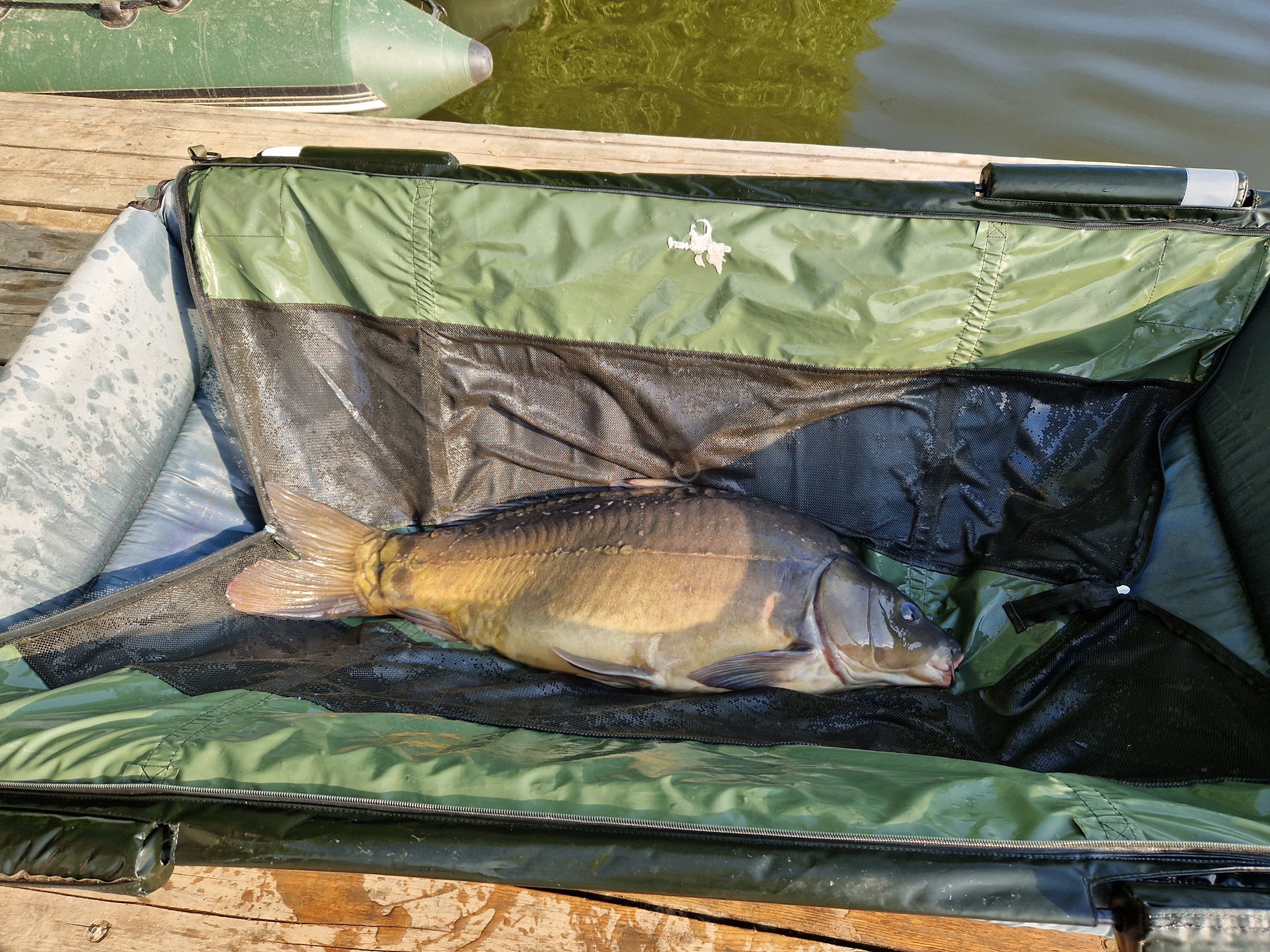 Tancabesti 5 august 2022 - 20220807081617.jpg